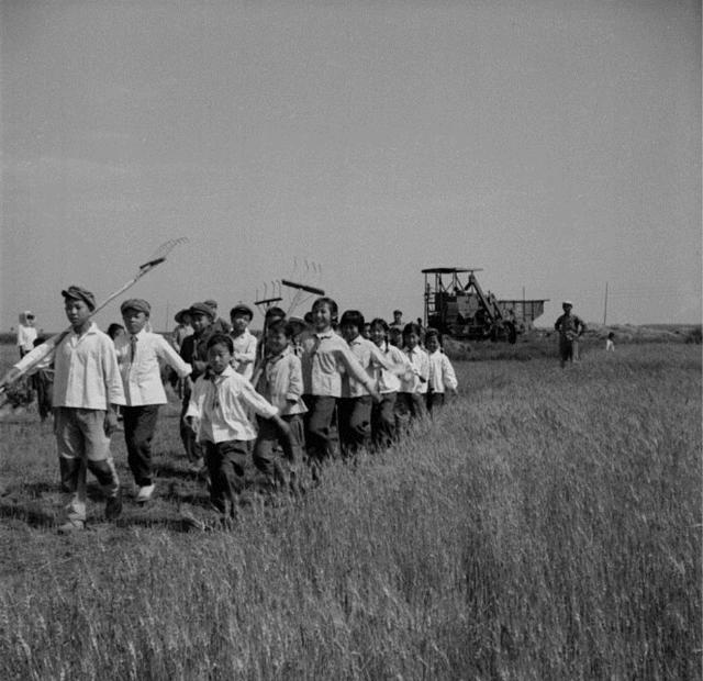 黑龙江新增79例输入病例，边境疫情防控再敲警钟